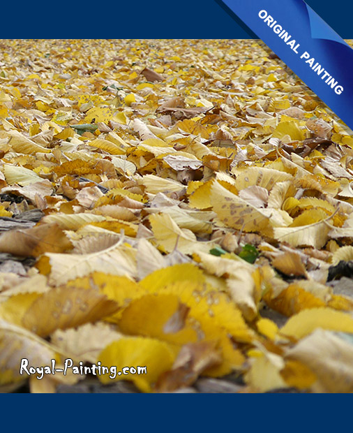 Landscapes,Still Life